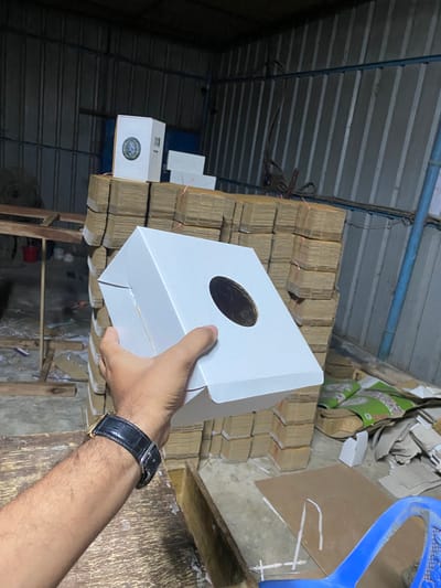 8" Cartoon Trasparent box (50 piece) (প্রতি পিচ ২২টাকা)_img_0