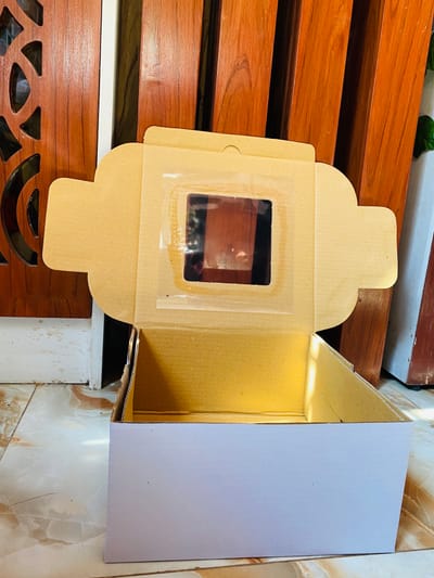 10" Cartoon Trasparent box (50 piece) (প্রতি পিচ ২৭টাকা)_img_2