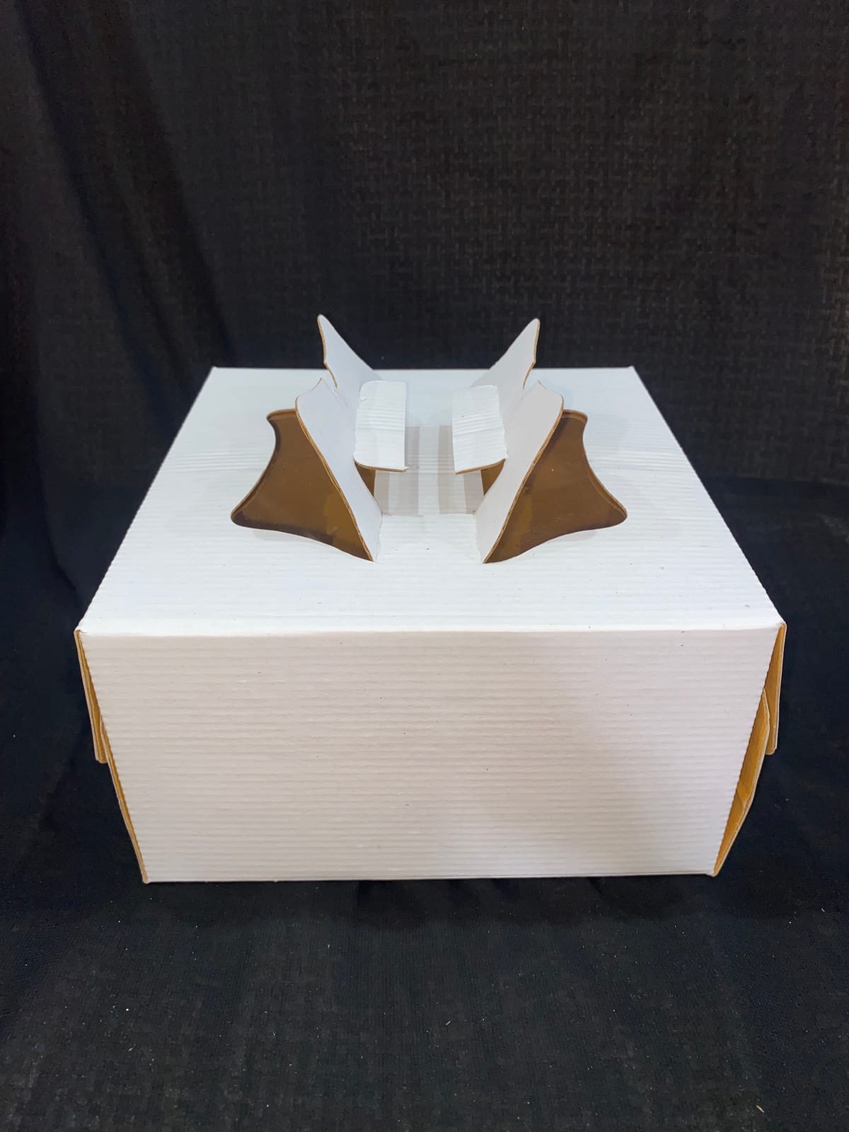 9" Handle Cake Box (50 piece)(প্রতি পিচ ২৫টাকা)