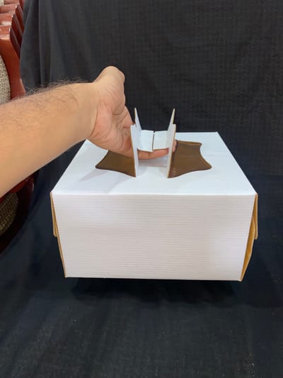9" Handle Cake Box (50 piece)(প্রতি পিচ ২৫টাকা)_img_4