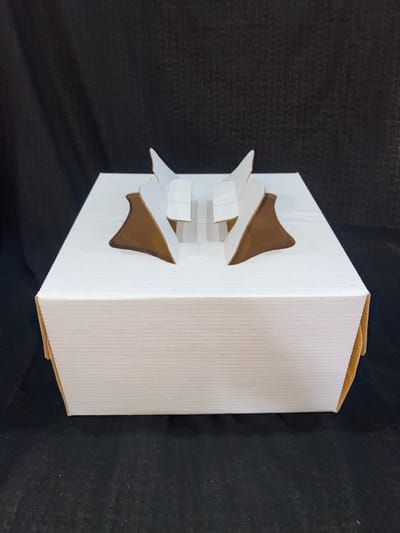 12" Handle Cake Box (50 piece)(প্রতি পিচ ৩৫টাকা)_img_0